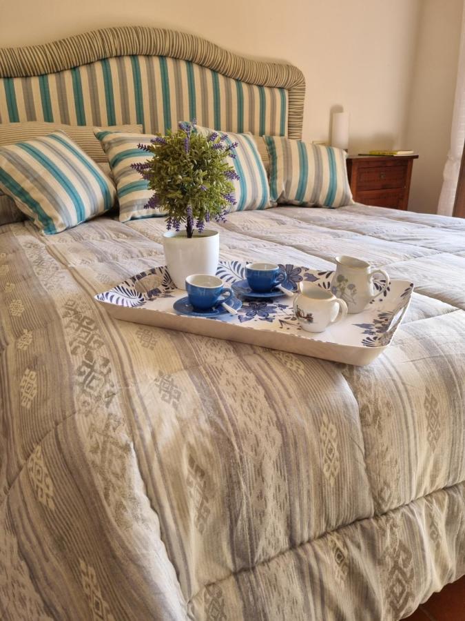 Dimora Fiore Apartment Lucca Luaran gambar